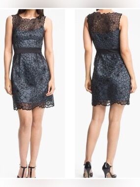 Adrianna Papell EMBROIDERED ORGANZA SHEATH Dress Sz 4